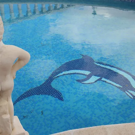Le Dauphin Pedreguer